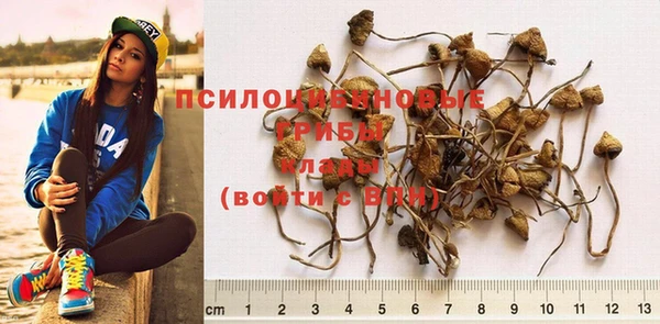 мяу мяу мука Осташков
