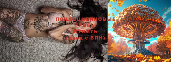 мяу мяу мука Осташков