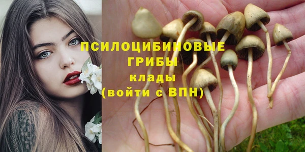твердый Осинники
