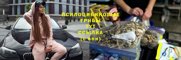 молекула духа Покров