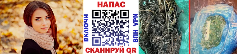 хочу наркоту  Сергач  Марихуана Bruce Banner 